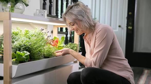 How I Unpicked Automation Failures in Smart Farms: A Problem-Driven Playbook
